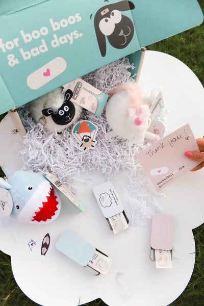 Plush Keychains + Matching Ice Packs for Kids Bundle | Boo Boo Ball ...
